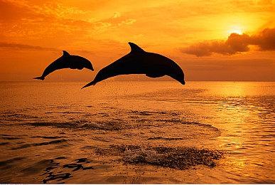 疑似外设厂商意外泄露 Switch 2真机外观曝光